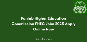 Punjab Higher Education Commission PHEC Jobs 2025 Apply Online Now